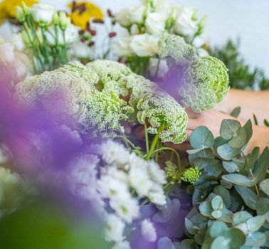 Blumenhaus-Serrer_Schnittblumen_04