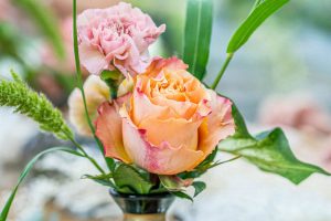 Serrer-Blumenhaus_Kurs_02